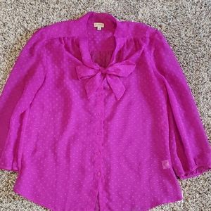 ADORABLE sheer Daniel Cremieux blouse sz. M